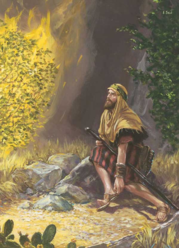 Devotion cover